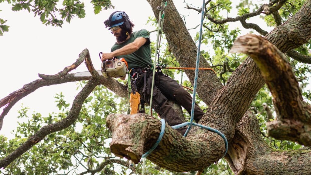 Know Your Tree Service Customers