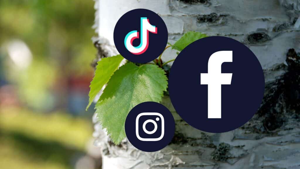 Social Media and Tree Service