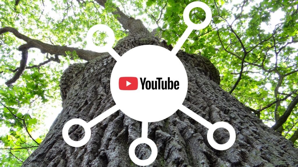 Ways Tree Services Should Be Leveraging the Power and Reach of YouTube