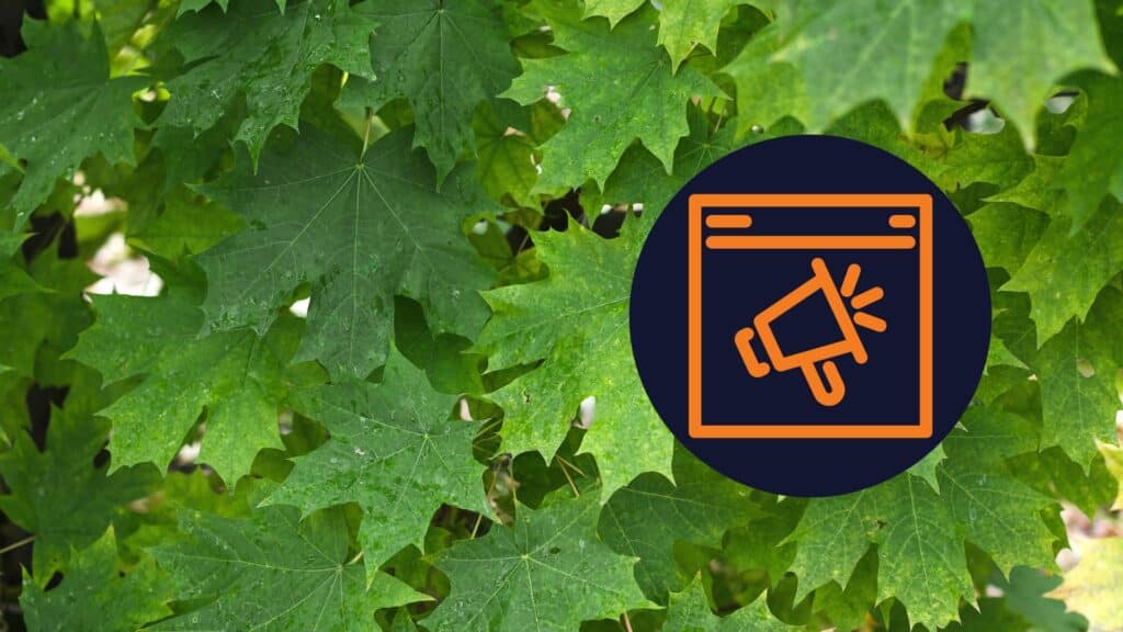 Conversion Rates For Tree Company Ad Campaigns