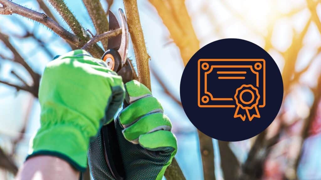 Marketable Certifications and Credentials for Tree Care Companies