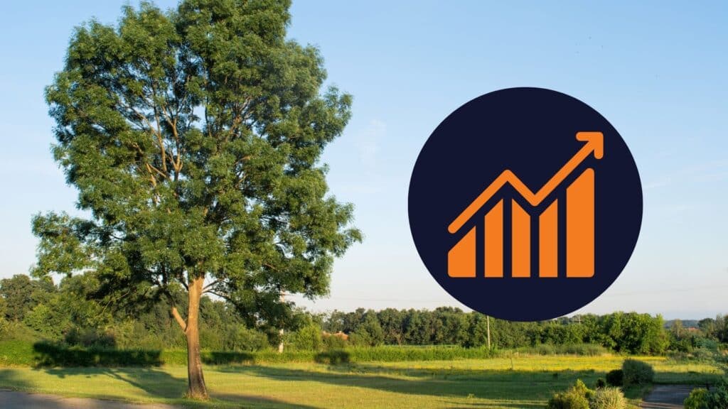 Strategies to Grow Your Tree Service's Value