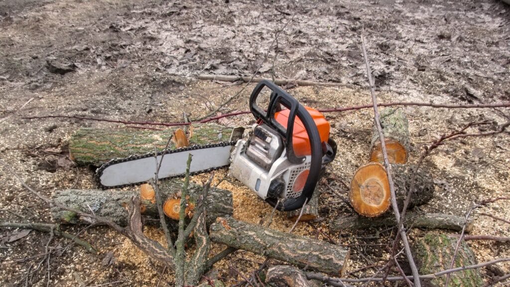 13 Safety Statistics Tree Care Pros Need to Know Chainsaw Equipment Orb Tree Service Marketing