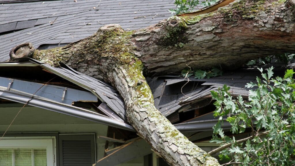 13 Safety Statistics Tree Care Pros Need to Know Tree Roof Damage Orb Tree Service Marketing