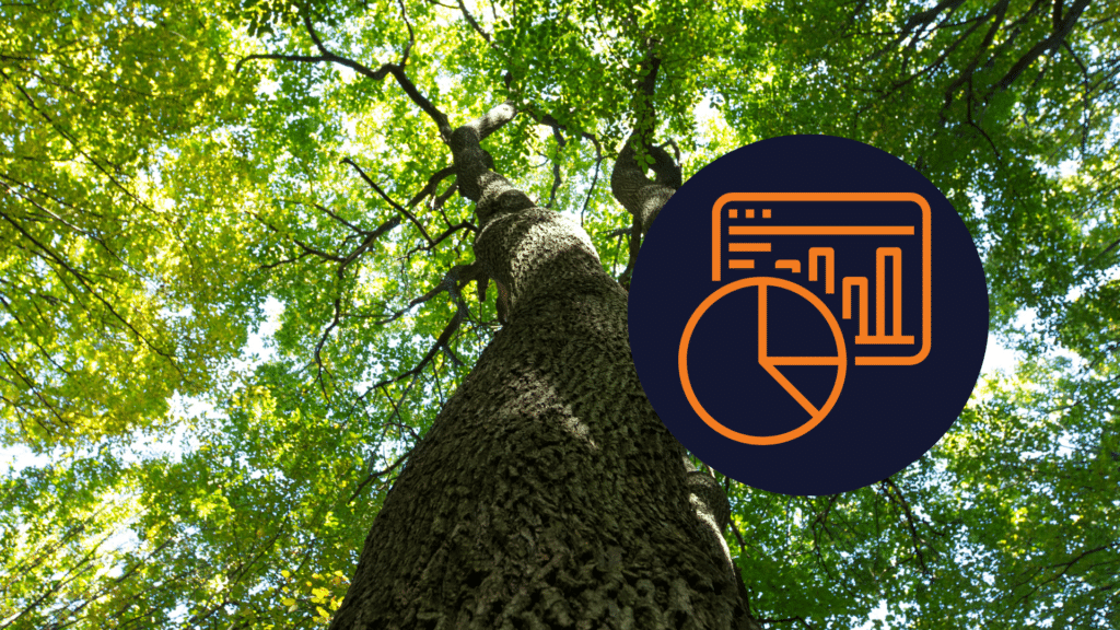 13 Marketing Stats ORB Tree Service Marketing