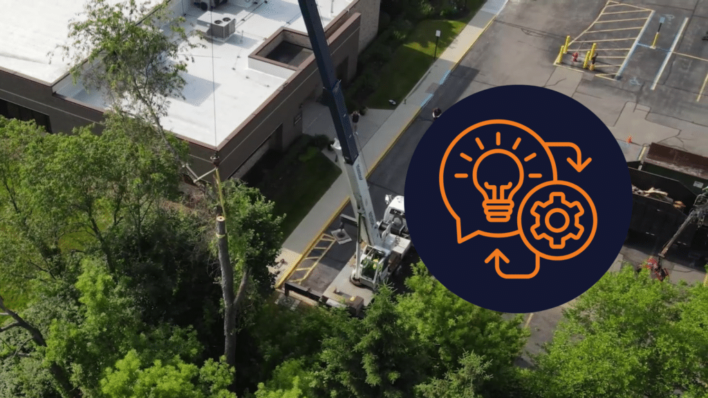 Ways to Scale Your Tree Service Company without Hiring another crew