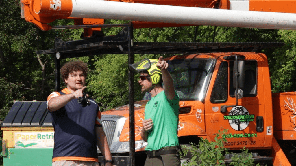 Work With ORB Tree Service Marketing Today