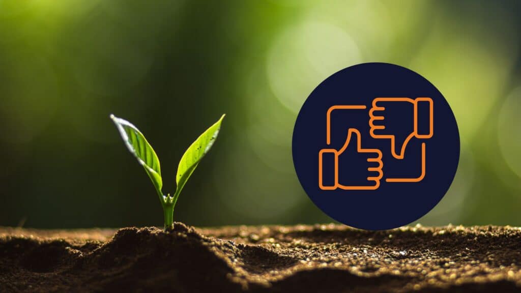 Marketing Your Own Tree Care Companies ORB Tree Service Marketing