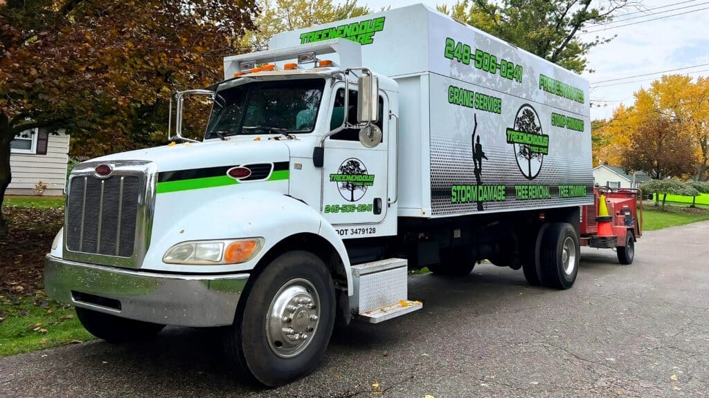 SEO vs PPC for Tree Service Companies What’s the Difference and When Should You Use Them When Should Tree Care Companies Use SEO vs PPC Orb Tree Service Marketing